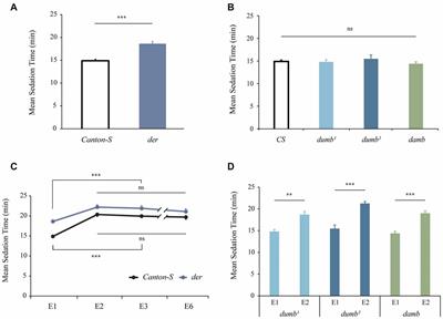Behavioral Sensitization to the Disinhibition Effect of Ethanol Requires the Dopamine/Ecdysone Receptor in Drosophila